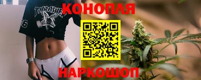 apvp Славгород