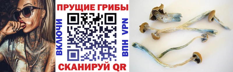 Галлюциногенные грибы прущие грибы  дарнет шоп  ссылка на мегу ссылка  Уфа 