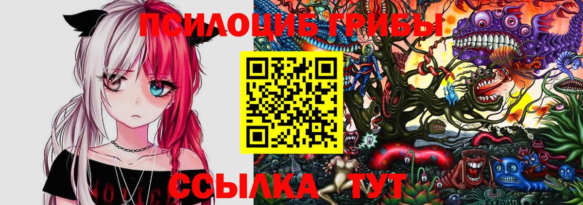 Уфа  купить закладку  Вход с VPN  Галлюциногенные грибы прущие грибы 